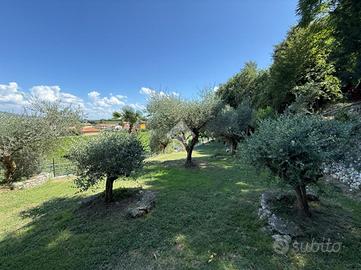 TER. AGRICOLO A AFFI