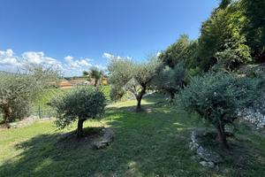 TER. AGRICOLO A AFFI