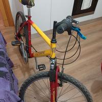 Mountain bike