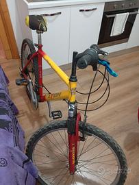 Mountain bike