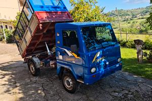 Mariniello Generosa P40