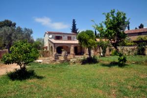 Casa Vacanze a S. Marco di Castellabate Cilento