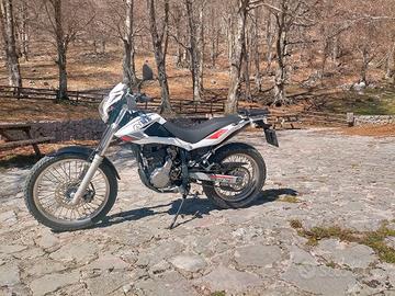 beta alp