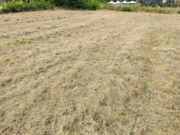 Terreno agricolo