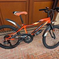 Mountain bike