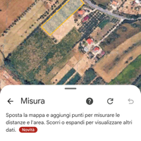 Vigneto di mezzo ettaro