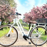 BICICLETTA ELETTRICA Elops 920 BTwin Taglia M