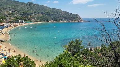 Elba, Procchio: appartamento nuovo con giardino