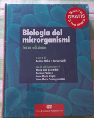 Libro