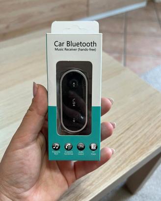 Car bluetooth