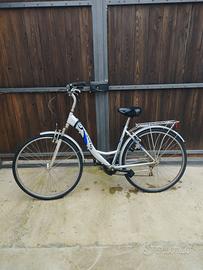 bicicletta da passeggio