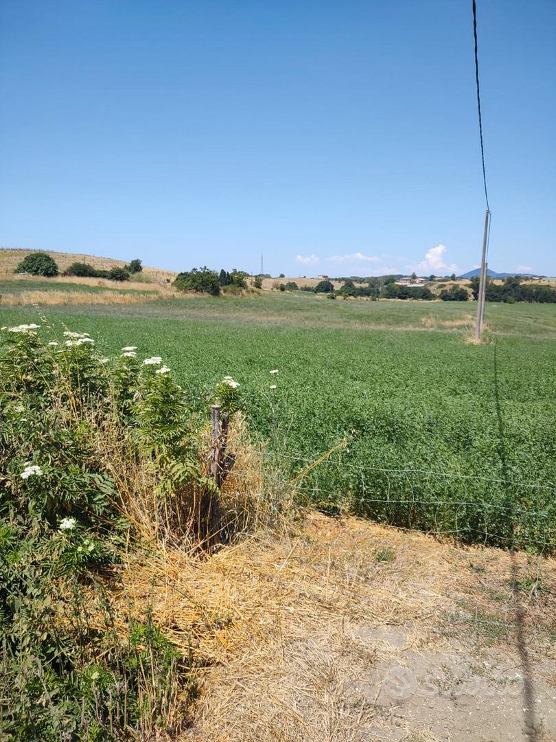 Terreno agricolo + capannone/fienile - Vista 3