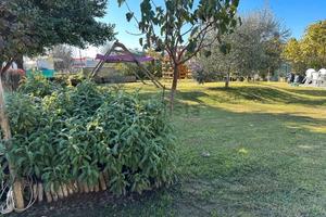 Villetta indipendente villafiorita