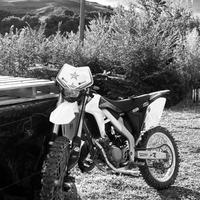 Valenti rme 50cc