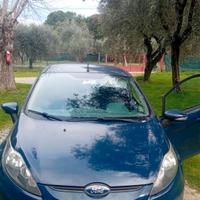 Ford Fiesta usata