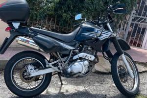 xt 600