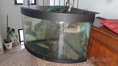 Acquario 