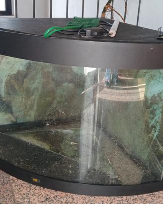 Acquario 