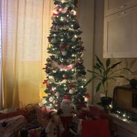 Albero di Natale slim