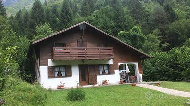 Chalet in stile alpino