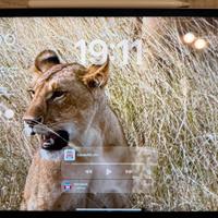 IPad Pro 12,9 M1 256gb wifi 5g