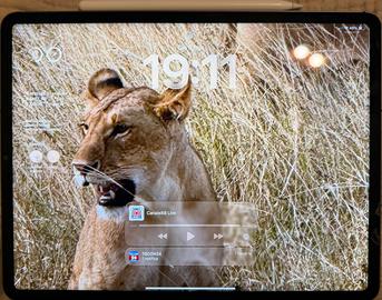 IPad Pro 12,9 M1 256gb wifi 5g