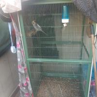 Gabbia completta