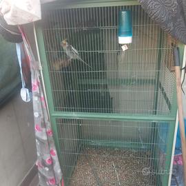 Gabbia completta