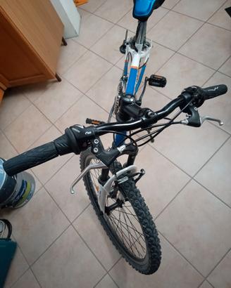 Bici ruote 24 ragazzino