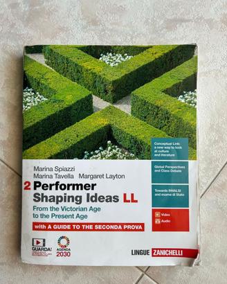 Performer Shaping Ideas LL 2