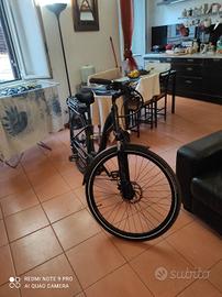 bicicletta elettrica Bosch modello Pegasus potenzi
