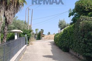 Terreno Edificabile - Ramacca