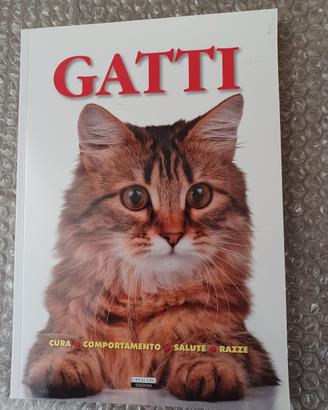 libro gatti