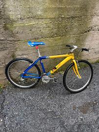 Bicicletta