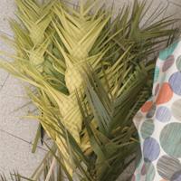 palme intrecciate 