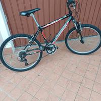 Mtb misura 24.