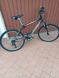 Mtb misura 24.