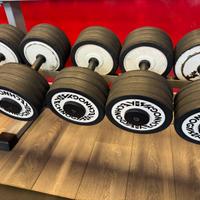 Coppia 36 kg Manubri technogym ottimi