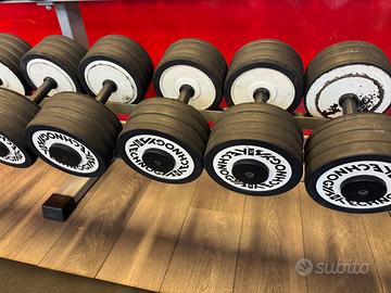 Coppia 36 kg Manubri technogym ottimi