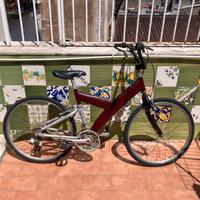 Biciclette costruite a mano