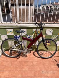 Biciclette costruite a mano