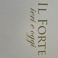 Stampe Forte dei Marmi