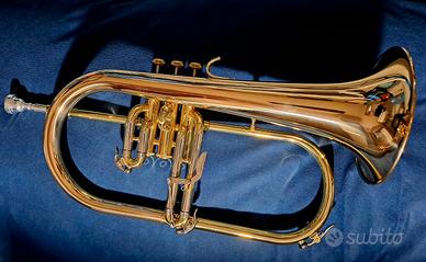 Flicorno soprano Eastman Andreas  EFG521GS 