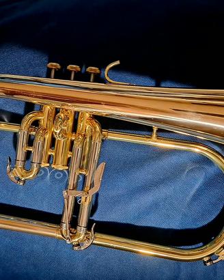 Flicorno soprano Eastman Andreas  EFG521GS 