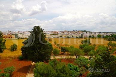 Terreno Agricolo Sannicola [Cod. rif 3072678VRG]