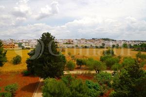 Terreno Agricolo Sannicola [Cod. rif 3072678VRG]