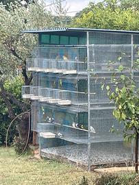 Inseparabili personata e fischer