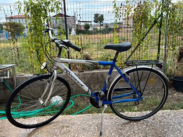 Due bici da uomo