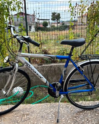 Due bici da uomo