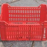 CASSETTE IN PLASTICA PER ORTOFRUTTA